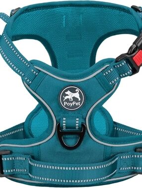 Teal Padded No-Pull Dog Harness